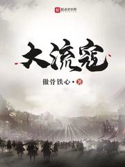 大流寇封面