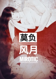 莫负风月（1V1 H）封面