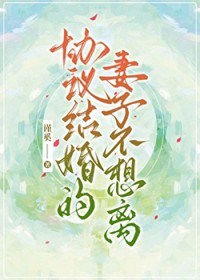 协议结婚的妻子不想离封面