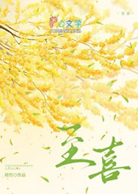 至喜封面